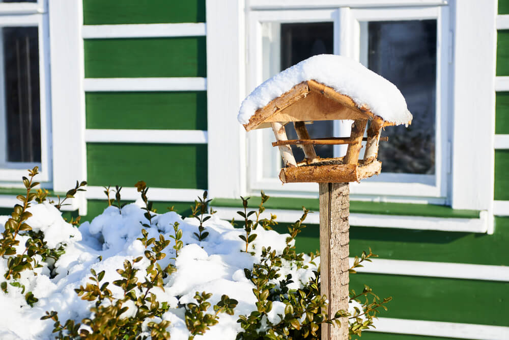 Vogelhaus mit Ständer und Schnee