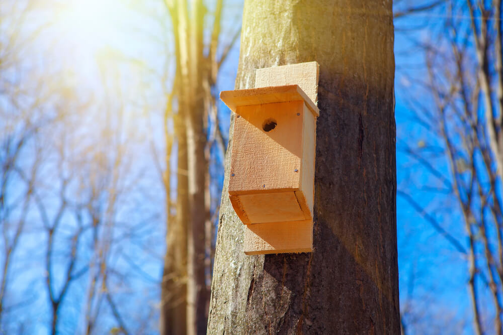 Ein Vogelhaus Nistkasten am Baum