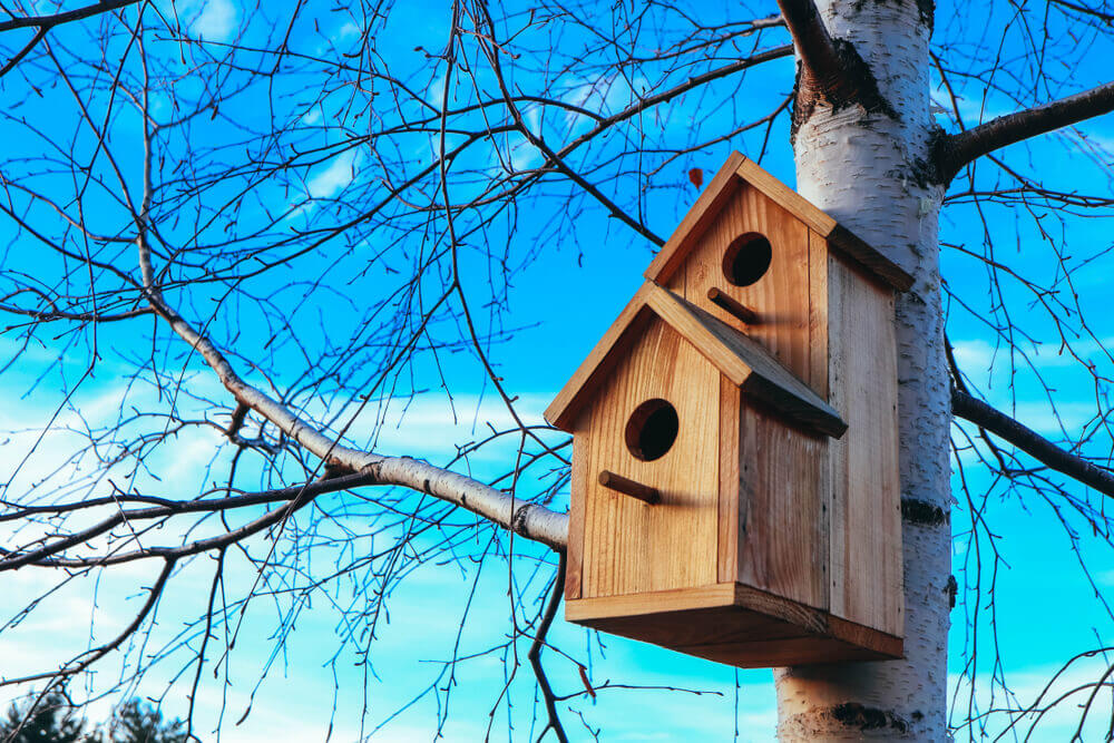 Vogelhaus Holz am Baum